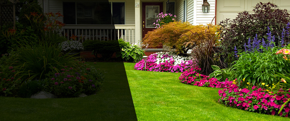 Amboy Landscapers
