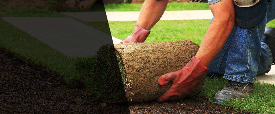 Amboy Landscapers